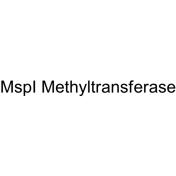 MspI Methyltransferase (MspI )